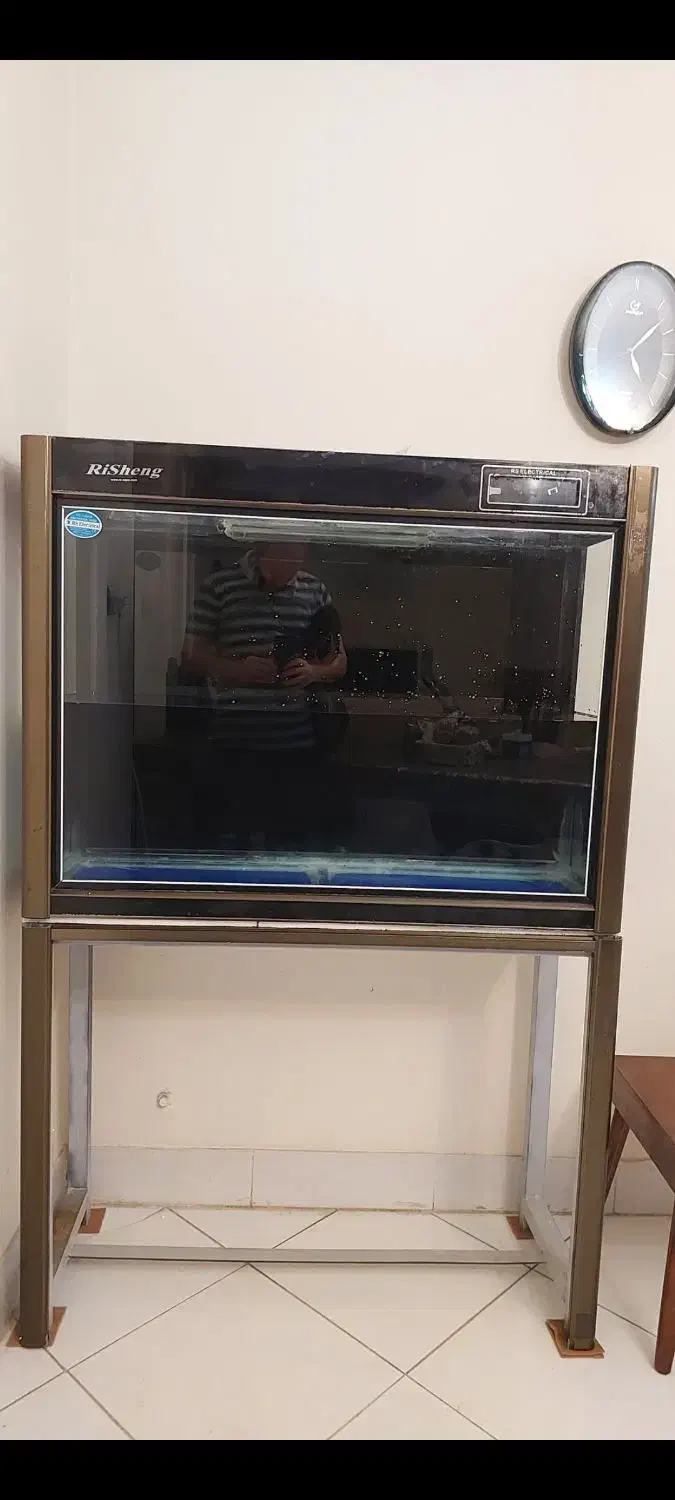 آکواریوم شرکتی risheng|ماهی|شیراز, معالیآباد|دیوار