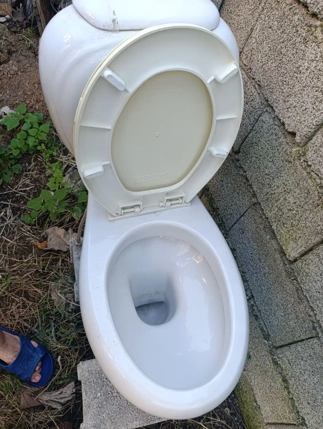 توالت فرنگی سالم|لوازم سرویس بهداشتی|پرهسر, |دیوار