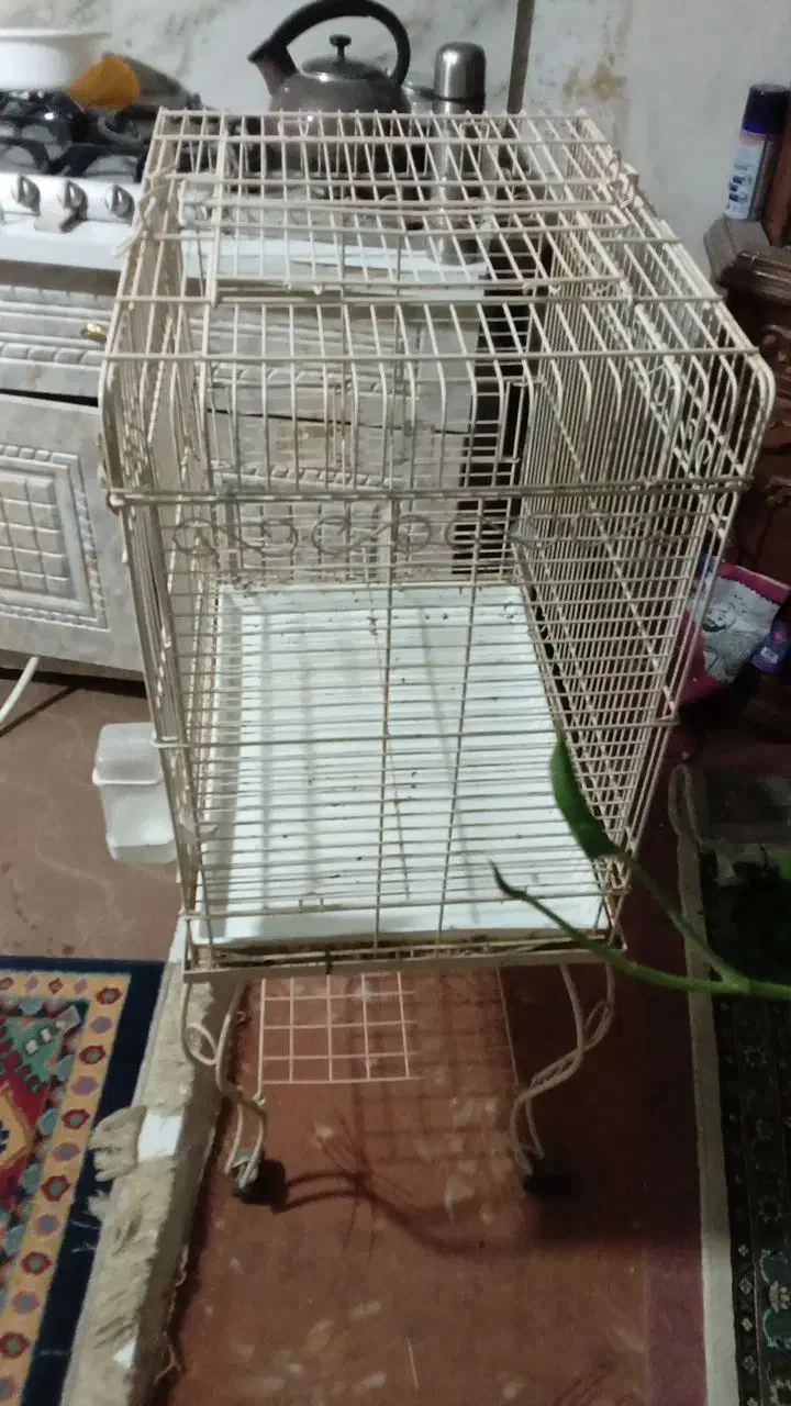 قفس ژاپنی|لوازم جانبی حیوانات|مشهد, سراب|دیوار