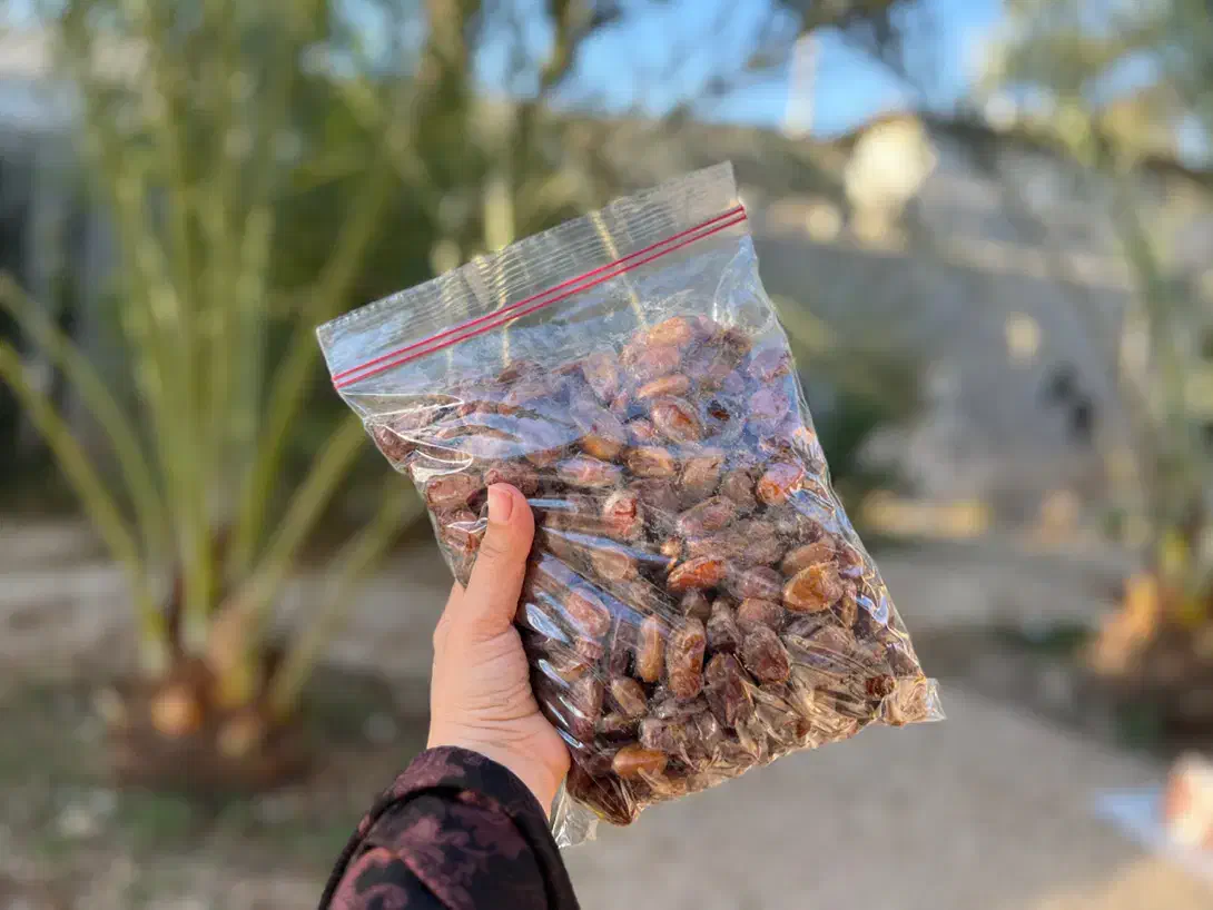 خشکبار خرما|عمدهفروشی|کنار تخته و کمار, |دیوار