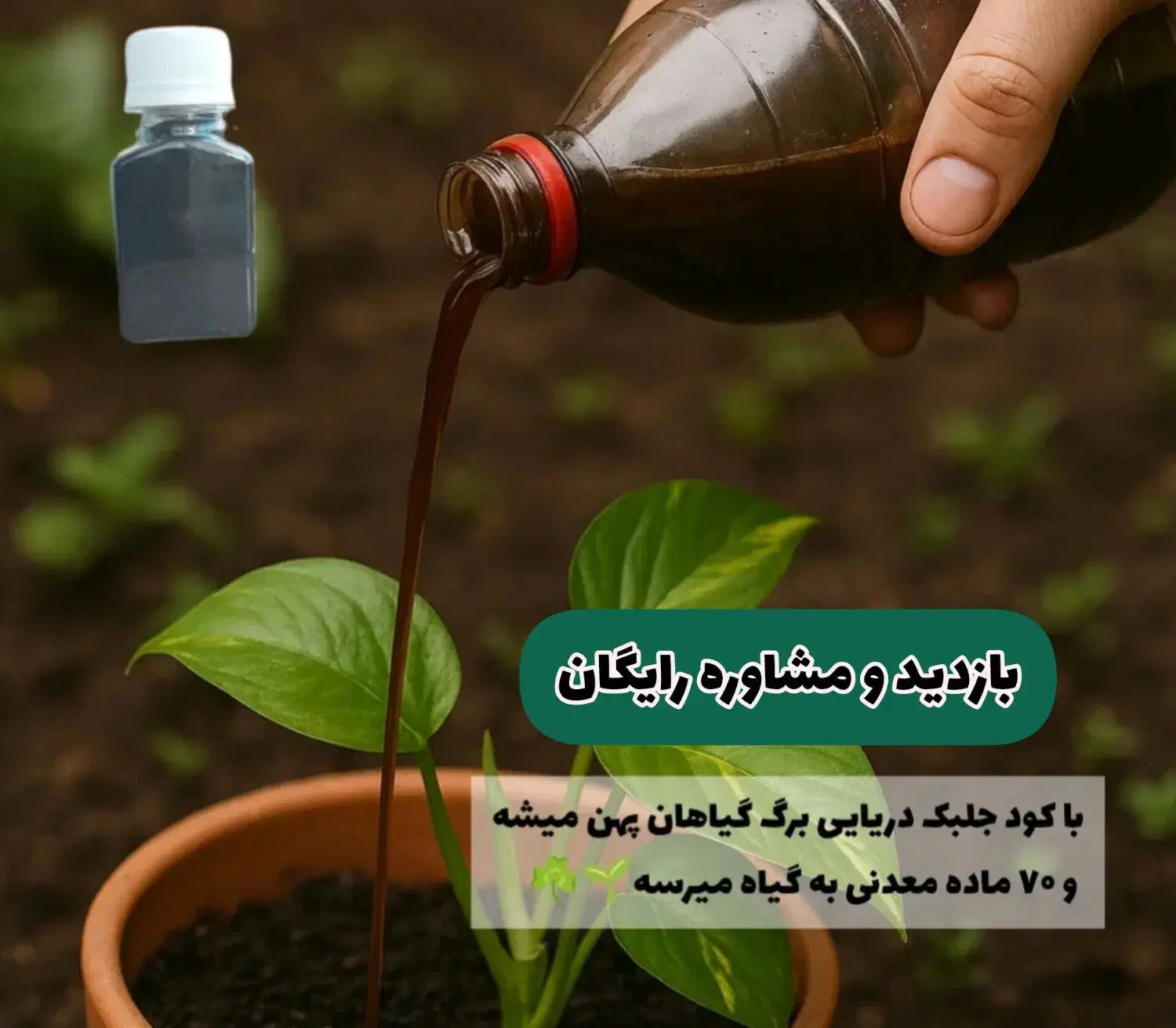بازدید و مشاوره رایگان|خدمات باغبانی و درختکاری|دوگنبدان, |دیوار