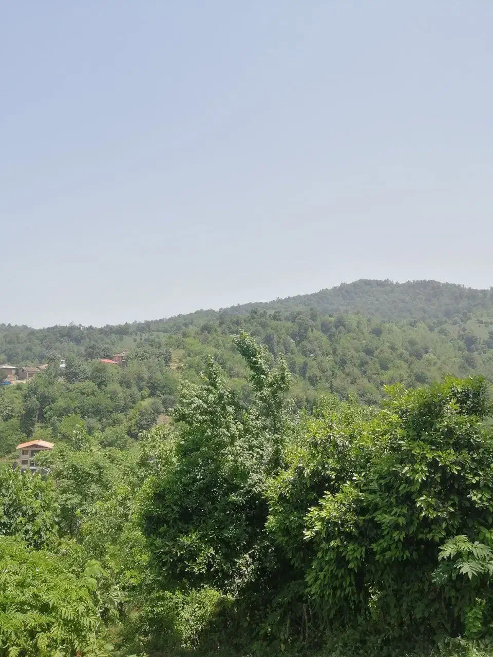 فروش۹۵۰متری/با کاربری مسکونی/ویو ابدی/شهر اطاقور|فروش زمین و ملک کلنگی|اطاقور, |دیوار