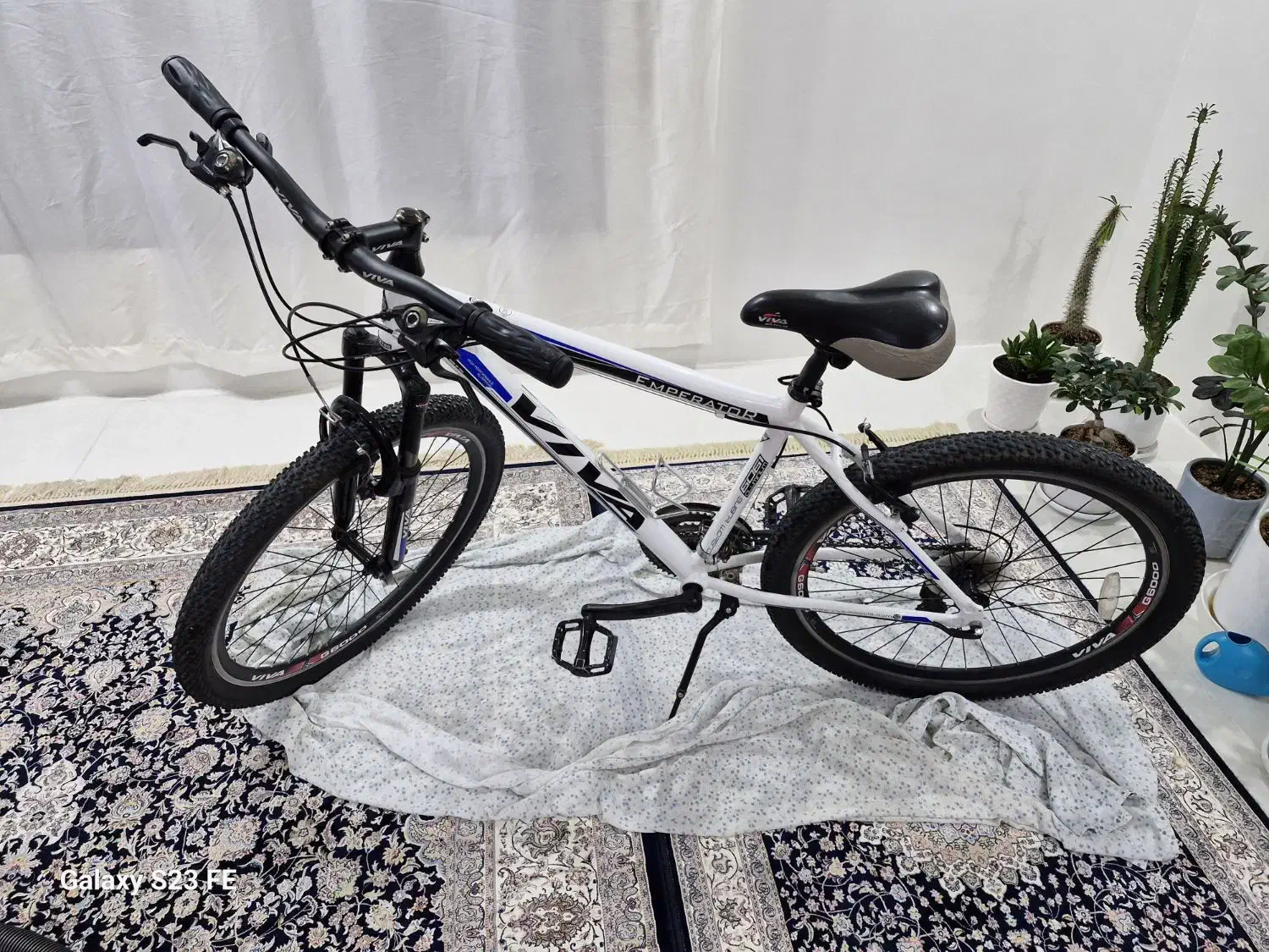 دوچرخه|دوچرخه، اسکیت، اسکوتر|مشهد, بلال|دیوار