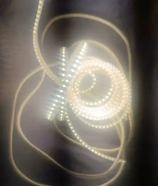 ریسه چراغ وچاشنی|ریسه و چراغ تزئینی|زاهدان, |دیوار