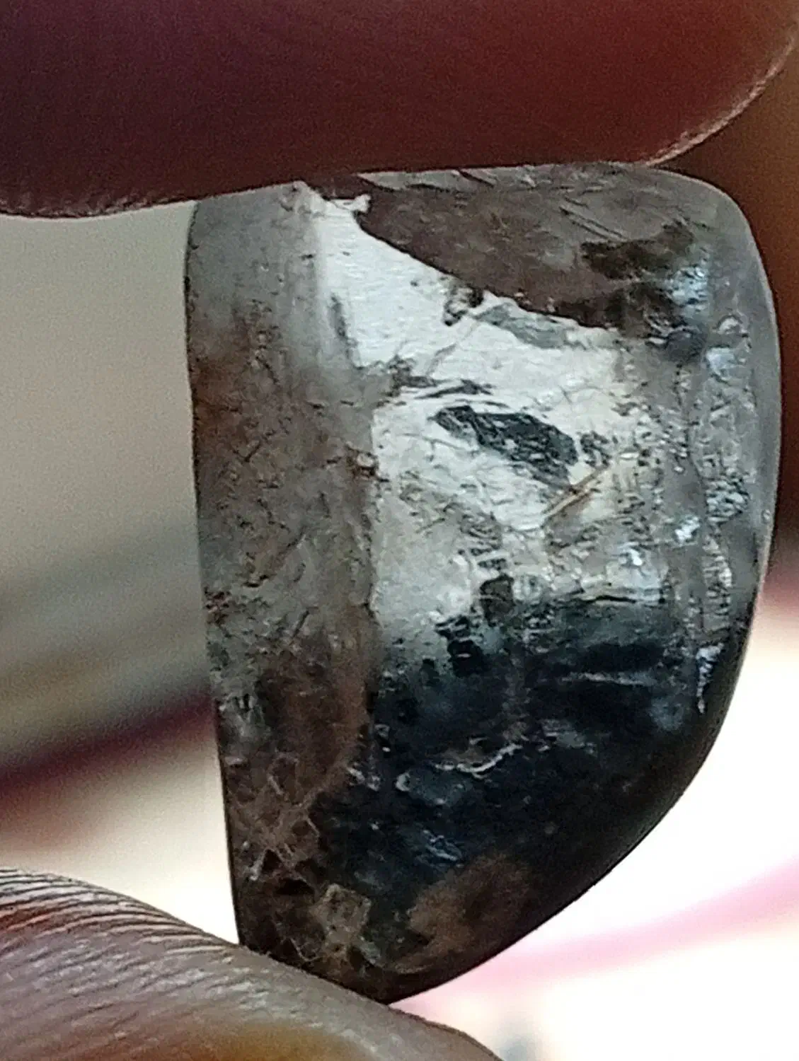 کلکسیونی|جواهرات|بندرعباس, |دیوار