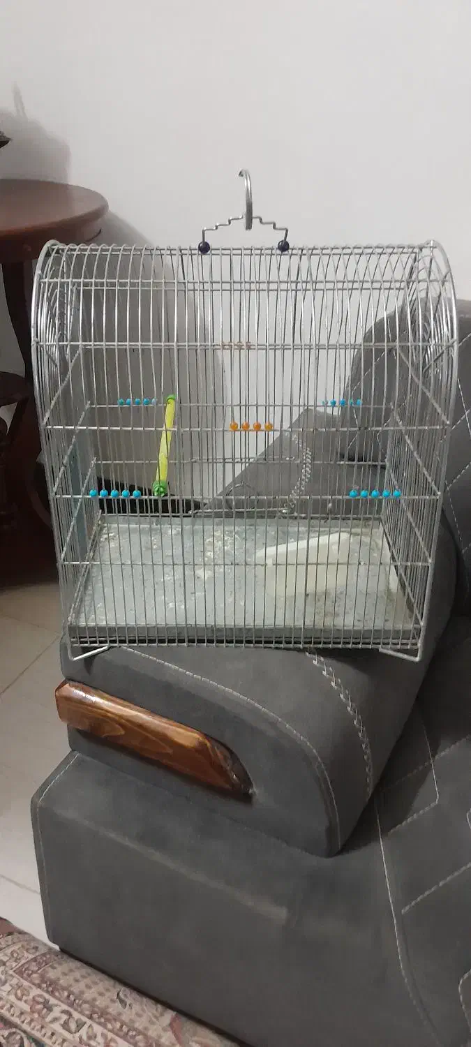 قفس کاملا سالم و نو|پرنده|کاشان, فاز ۱ ناجی آباد|دیوار