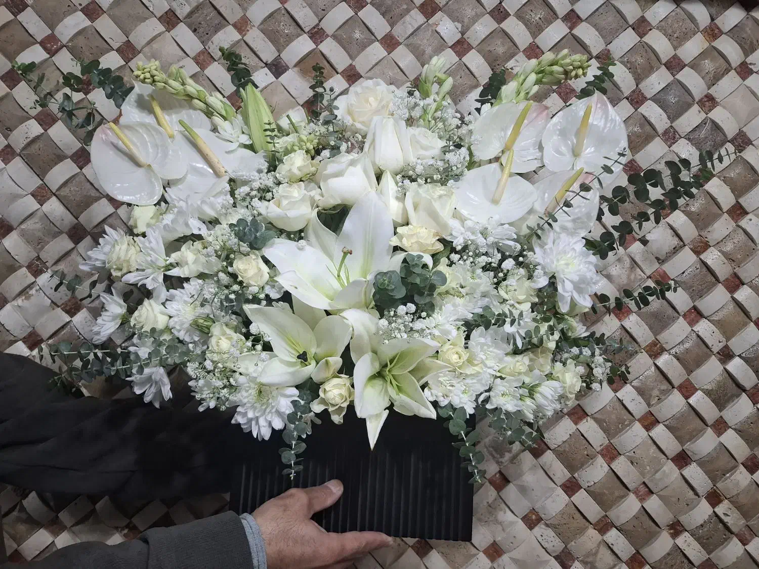 گل طبیعی|گل و گیاه طبیعی|مشهد, شیرودی|دیوار