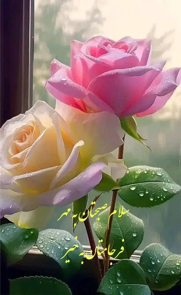 اجاره سوئیت ۵۰ متری همکف|اجارهٔ آپارتمان|سیرجان, |دیوار