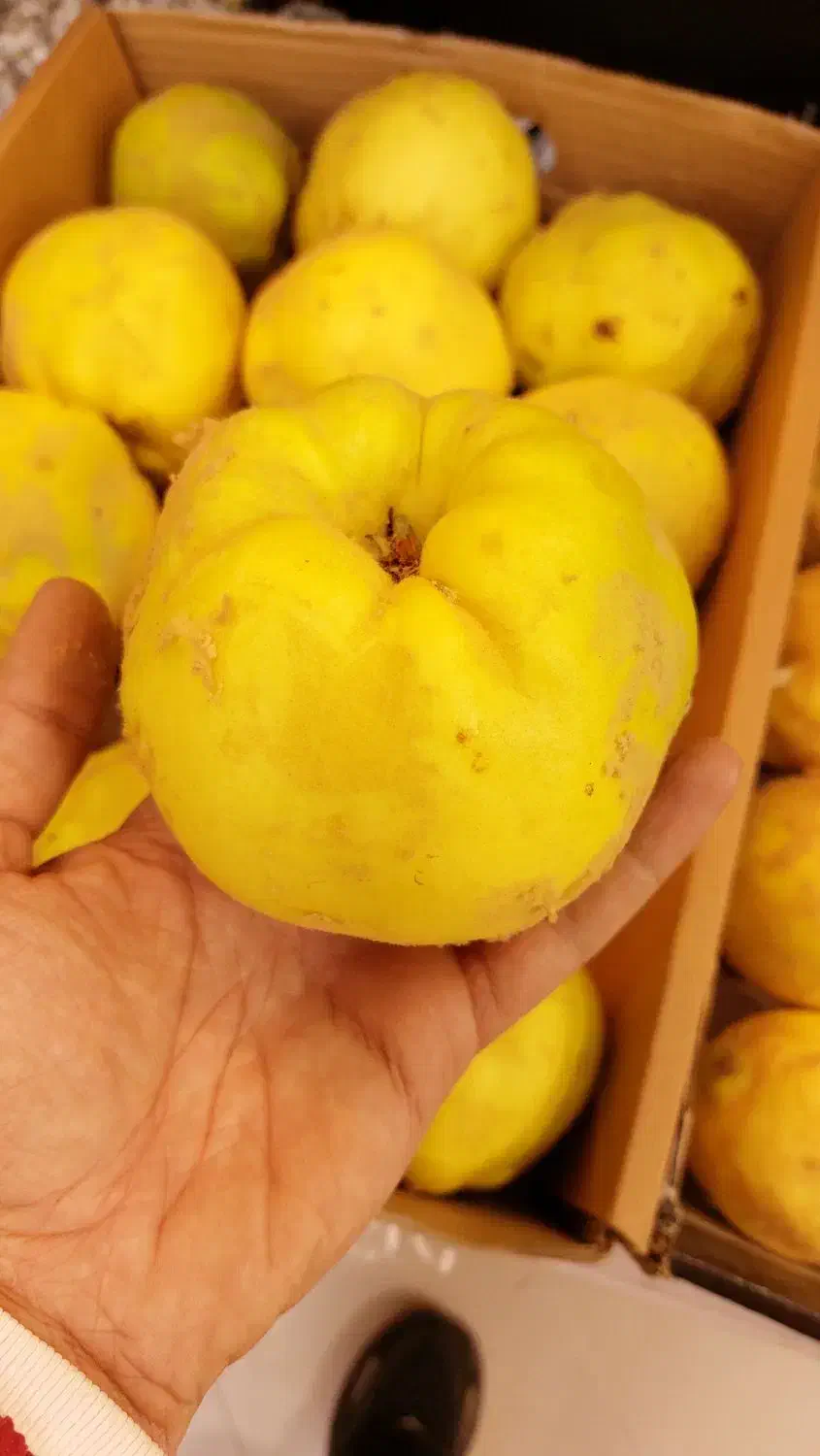 بِه اصفهان خوش عطر و طعم + هایپر میوه گلچین|خوردنی و آشامیدنی|شاهدشهر, |دیوار