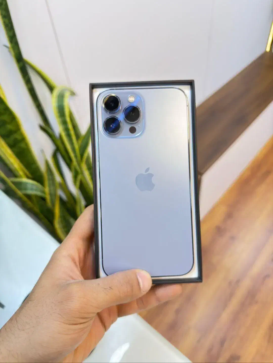 ایفون ۱۳ پرو مکس نو ۲۵۶LLAباتری ۱۰۰|موبایل|گرمی, |دیوار