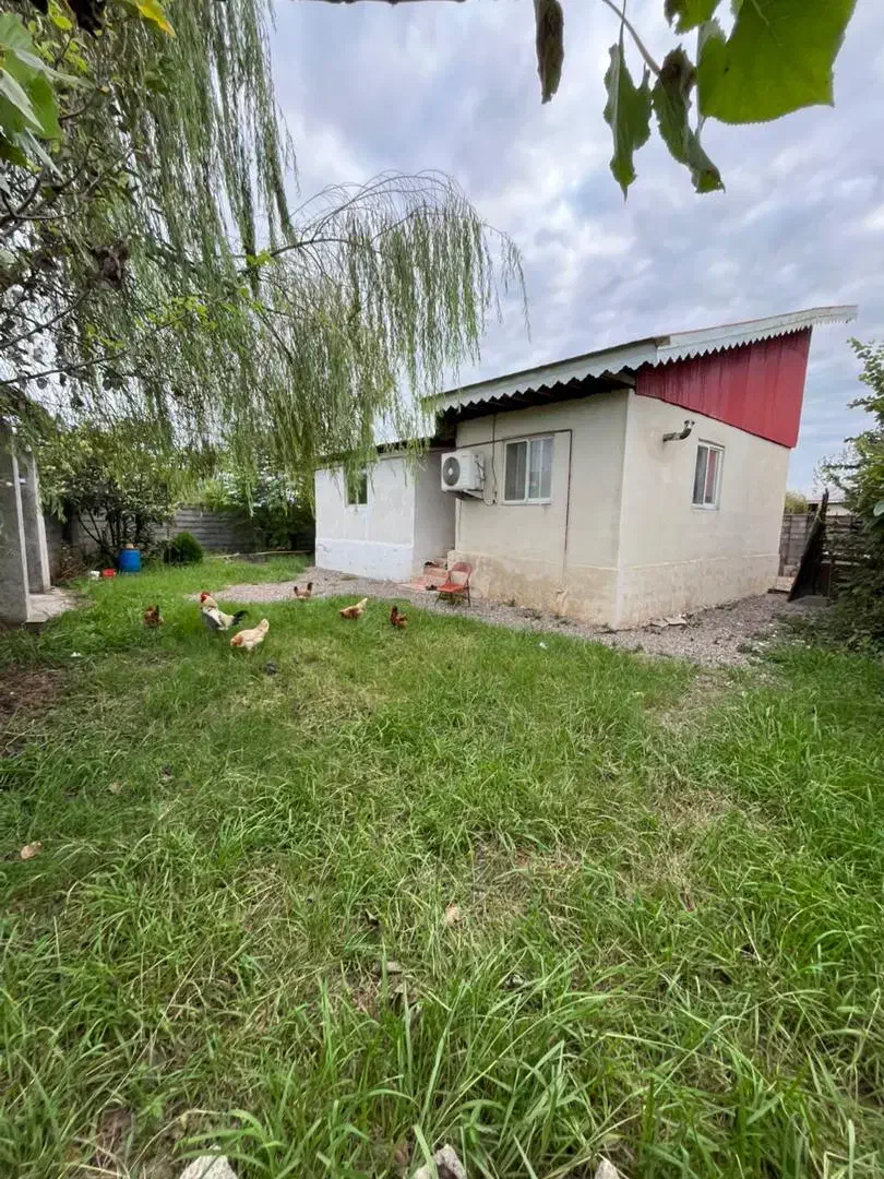 خونه شالیزار6700متری محدوده رشت شرایطی(آناملک)|فروش خانه و ویلا|رشت, حومه رشت|دیوار