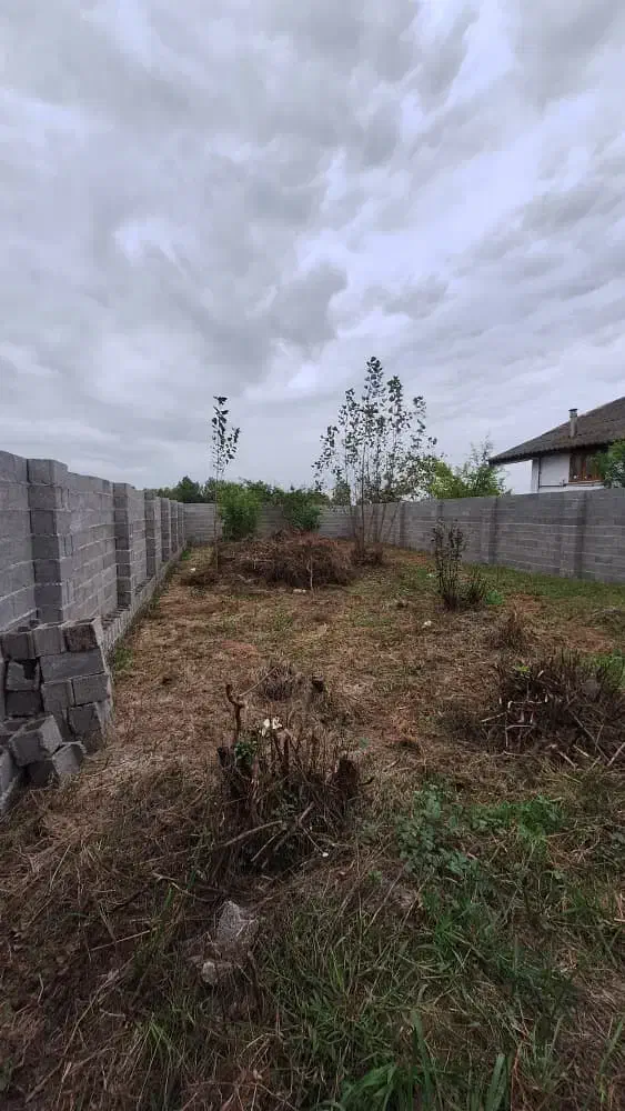 زمین ۲۵۰متری/ نامه مسکونی/ خشکبیجار(کلاچاه)|فروش زمین و ملک کلنگی|خشکبیجار, |دیوار