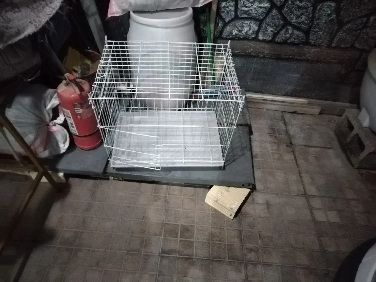 قفس|لوازم جانبی حیوانات|شیراز, شیشه‌گری|دیوار