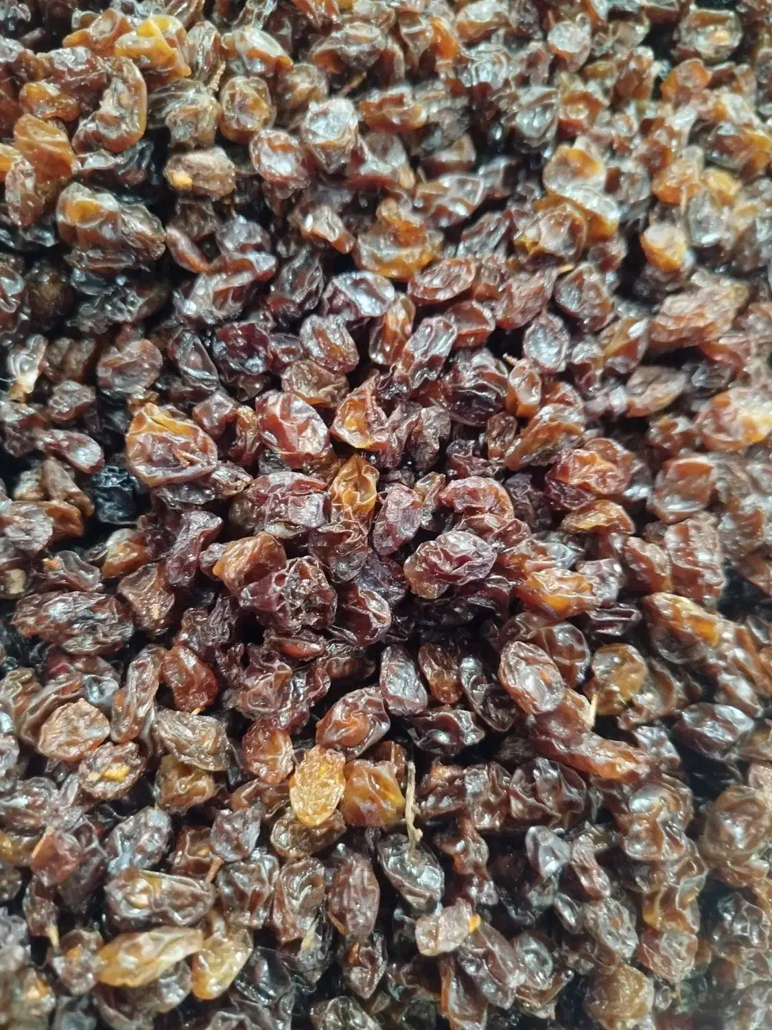 کشمش  تمیز|خوردنی و آشامیدنی|یاسوج, |دیوار