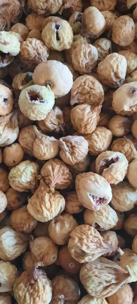 انجیر|خوردنی و آشامیدنی|تهران, ازگل|دیوار