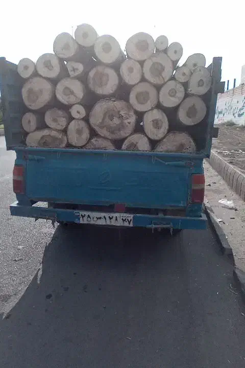 باربری|خدمات حمل و نقل|سلماس, |دیوار