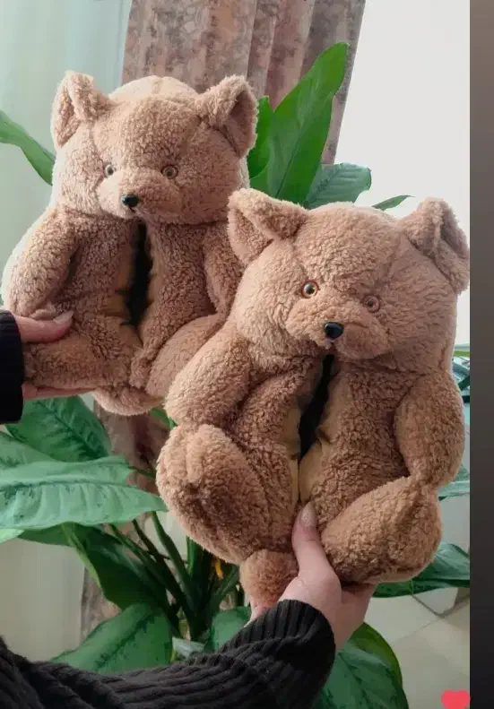 پاپوش پولیشی و خرسی|کیف، کفش، کمربند|ارومیه, |دیوار