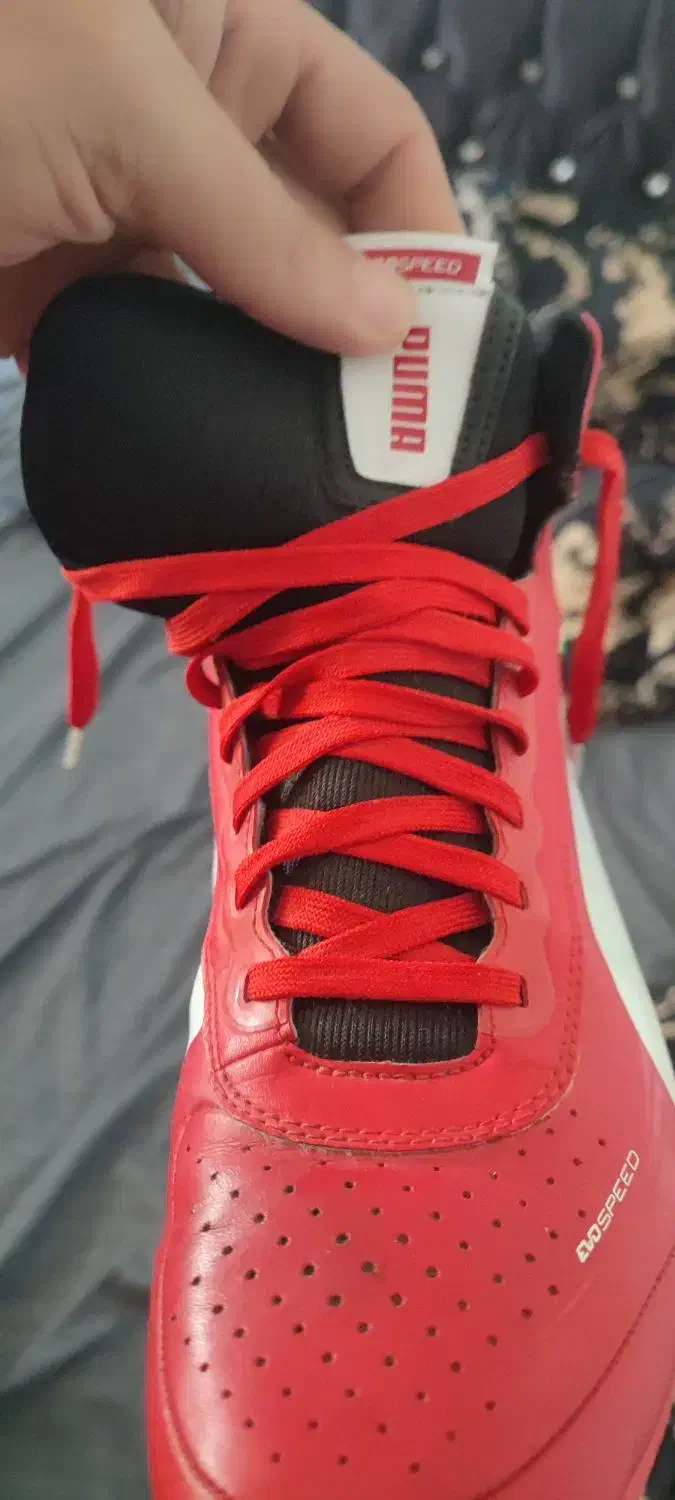 کتونی اتوموبیل رانی اورجینال پا نخورده|کیف، کفش، کمربند|لنگرود, |دیوار