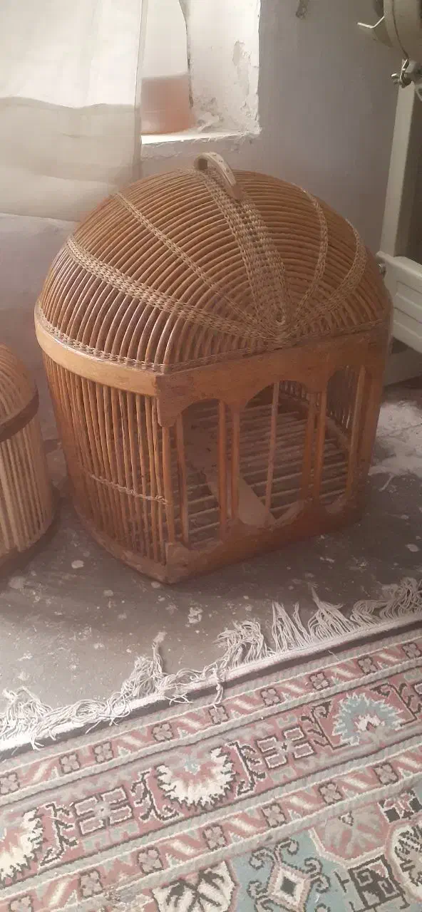 قفس پرنده|لوازم جانبی حیوانات|ایلام, |دیوار