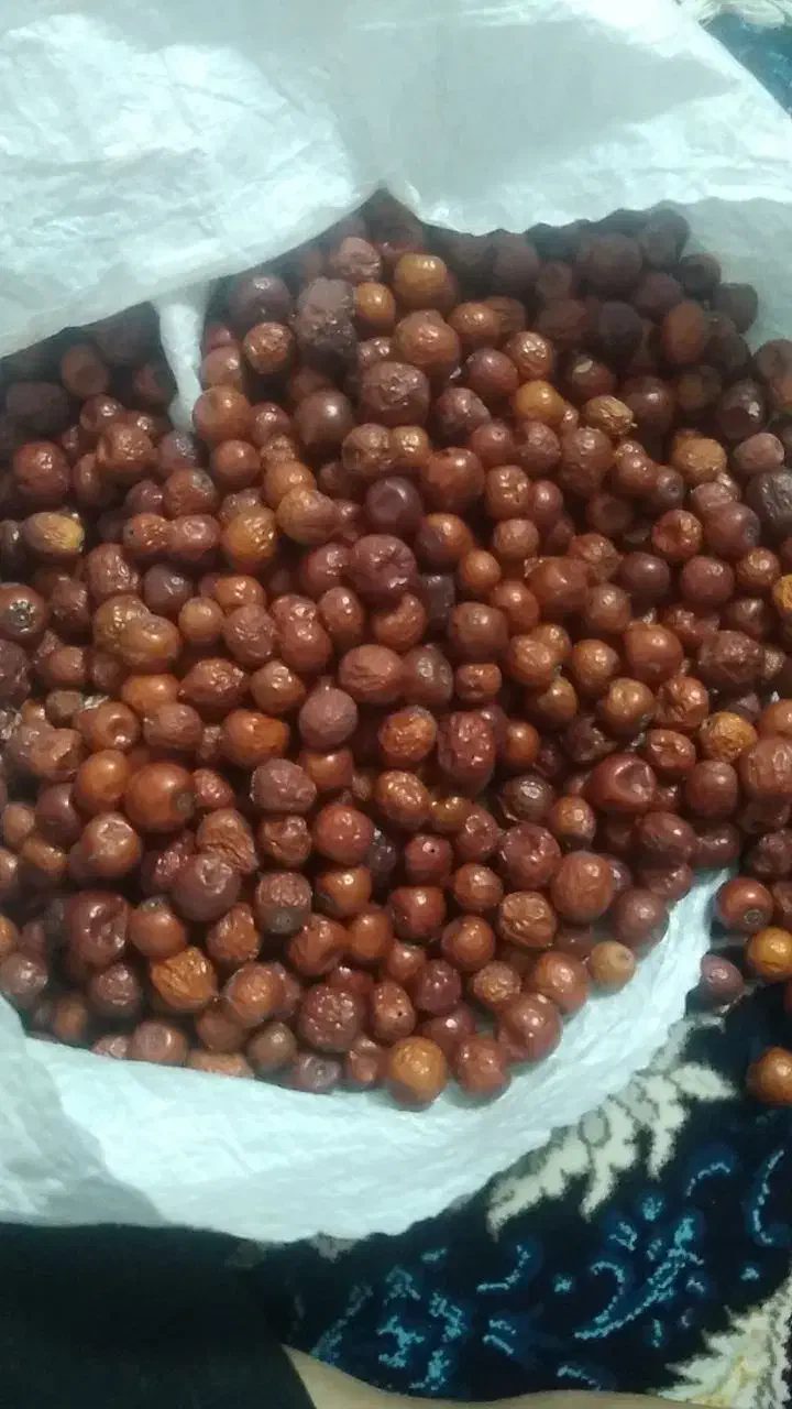 عناب فروشی|خوردنی و آشامیدنی|قم, شهر قائم|دیوار