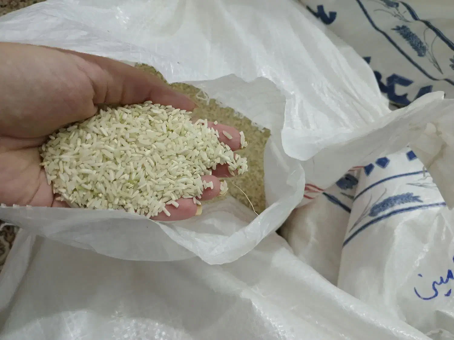 برنج علی کاظمی طارم|خوردنی و آشامیدنی|زنجان, |دیوار