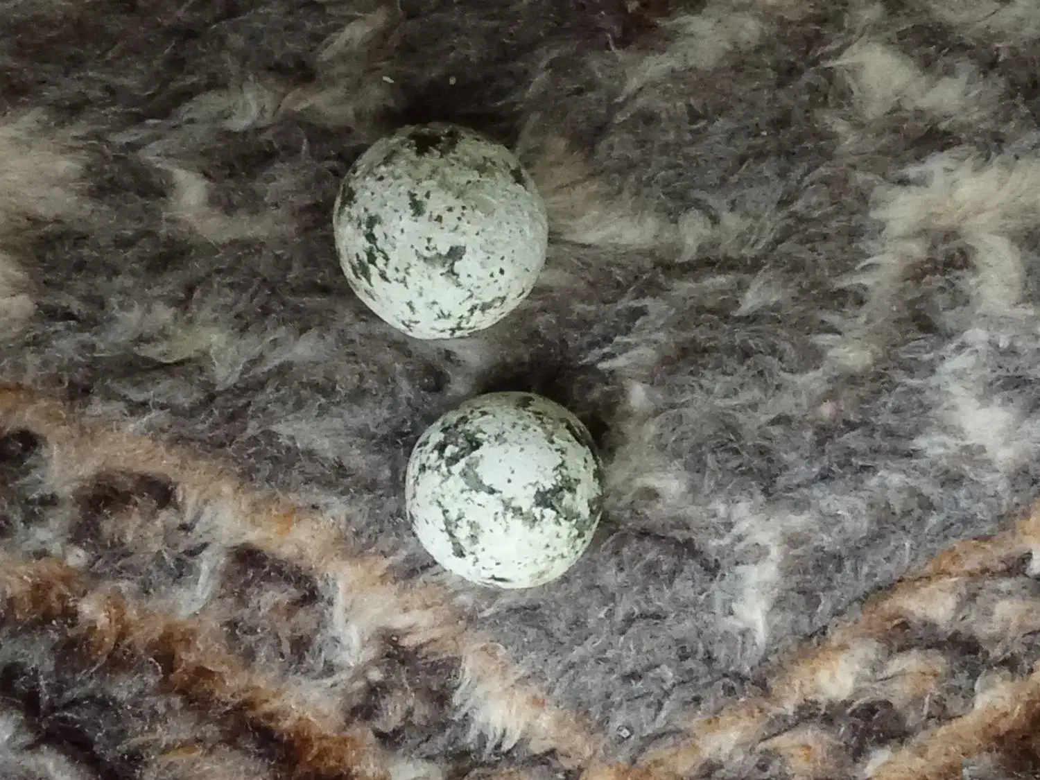 سنگ عتیقه|کلکسیون اشیاء عتیقه|چهاردانگه (تهران), |دیوار