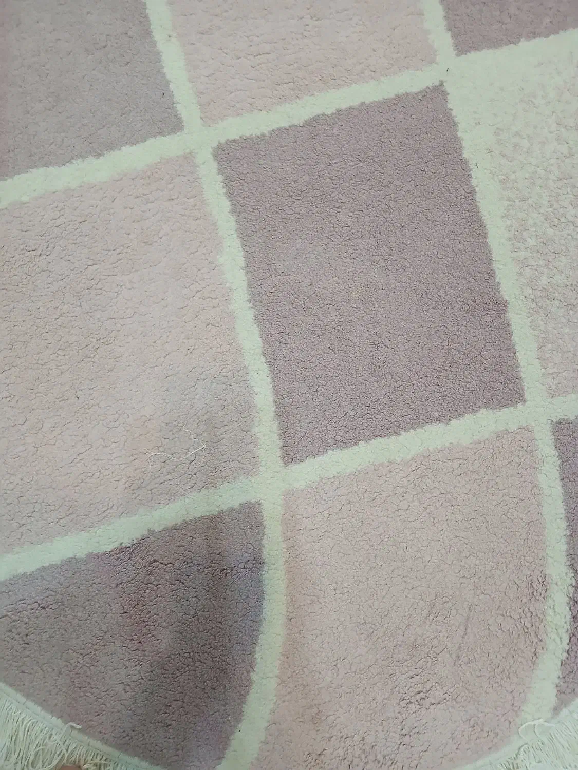 فرش بیضی شکل|فرش|ساری, |دیوار