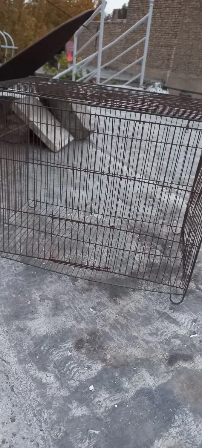 قفس|لوازم جانبی حیوانات|اصفهان, فروردین|دیوار