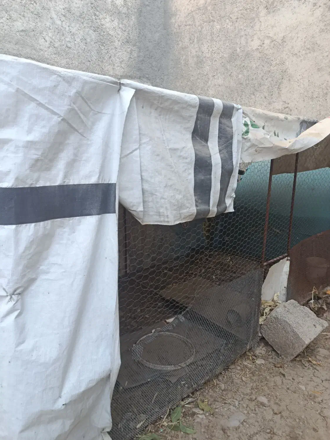 قفس‌‌جای‌مرغ‌وپرنده|لوازم جانبی حیوانات|سرپل ذهاب, |دیوار