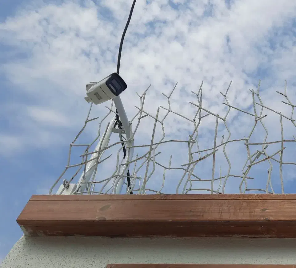 نصب و تعمیر دوربین مداربسته در جزیره کیش|خدمات پیشه و مهارت|کیش, |دیوار