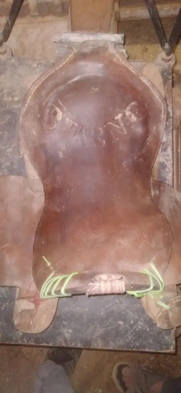 زین اسب|اسب و تجهیزات اسبسواری|اردکان, |دیوار