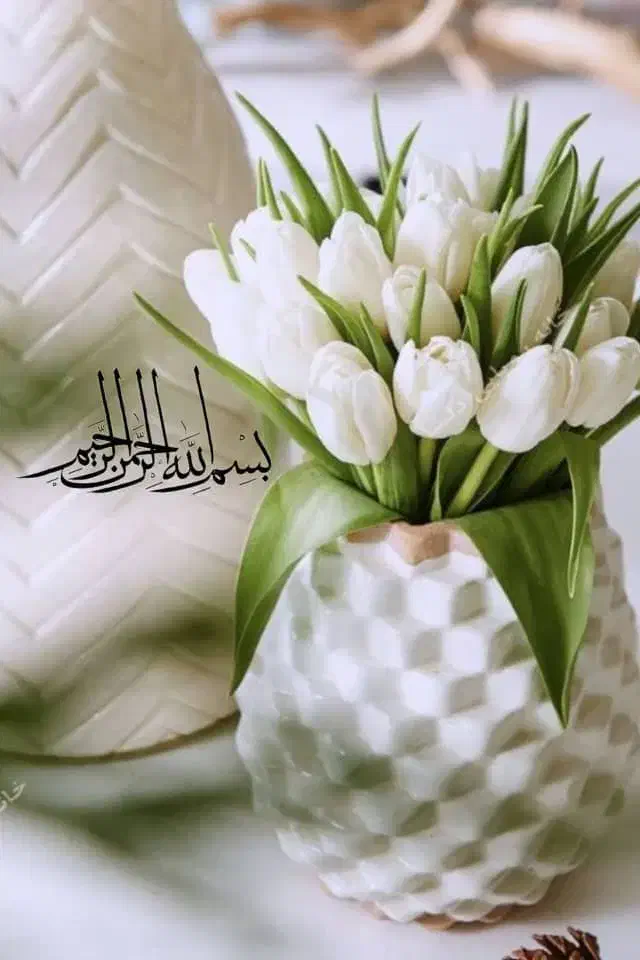 رحم جایگزین میشوم|فعالیت داوطلبانه|زارچ, |دیوار