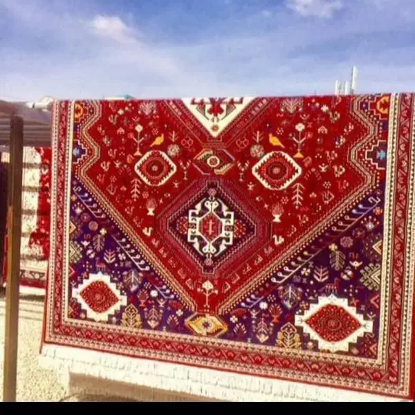 قالیشویی قالی شویی تمام اتوماتیک  پارس|خدمات نظافت|کیش, |دیوار