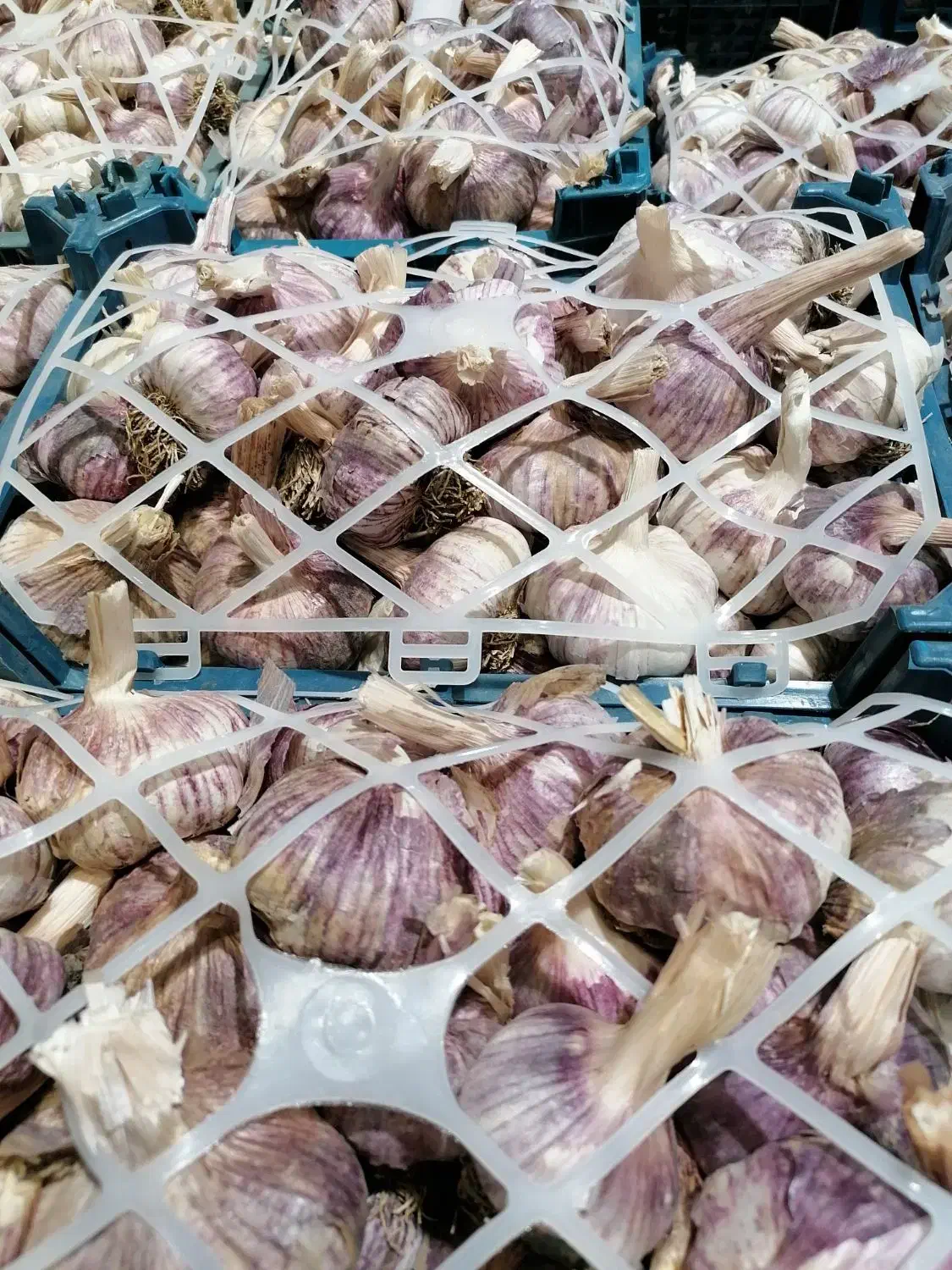 سیربذری|خوردنی و آشامیدنی|شیراز, شهرک نیروی انتظامی|دیوار