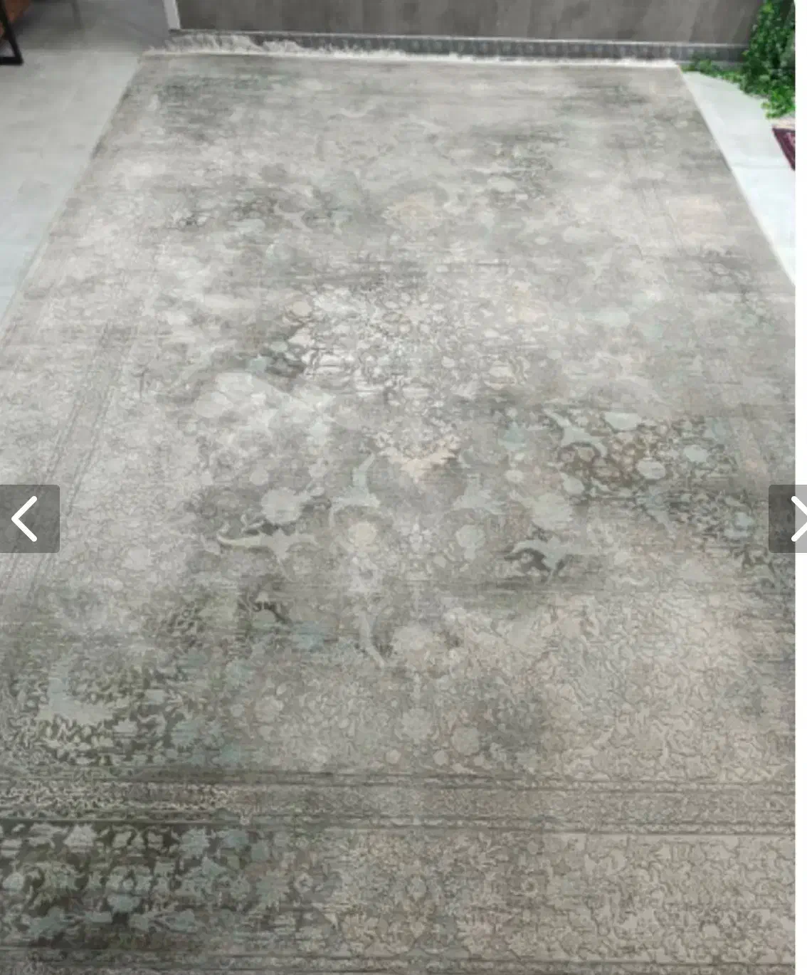 قالی ۶متری رنگ طوسی نو|فرش|کرمان, |دیوار