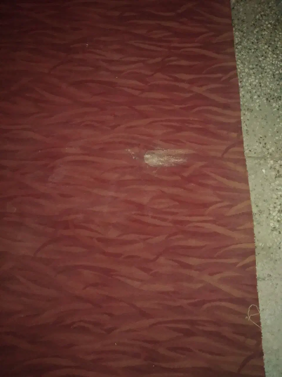 موکت خارجی کناره|موکت|مشهد, رضاشهر|دیوار