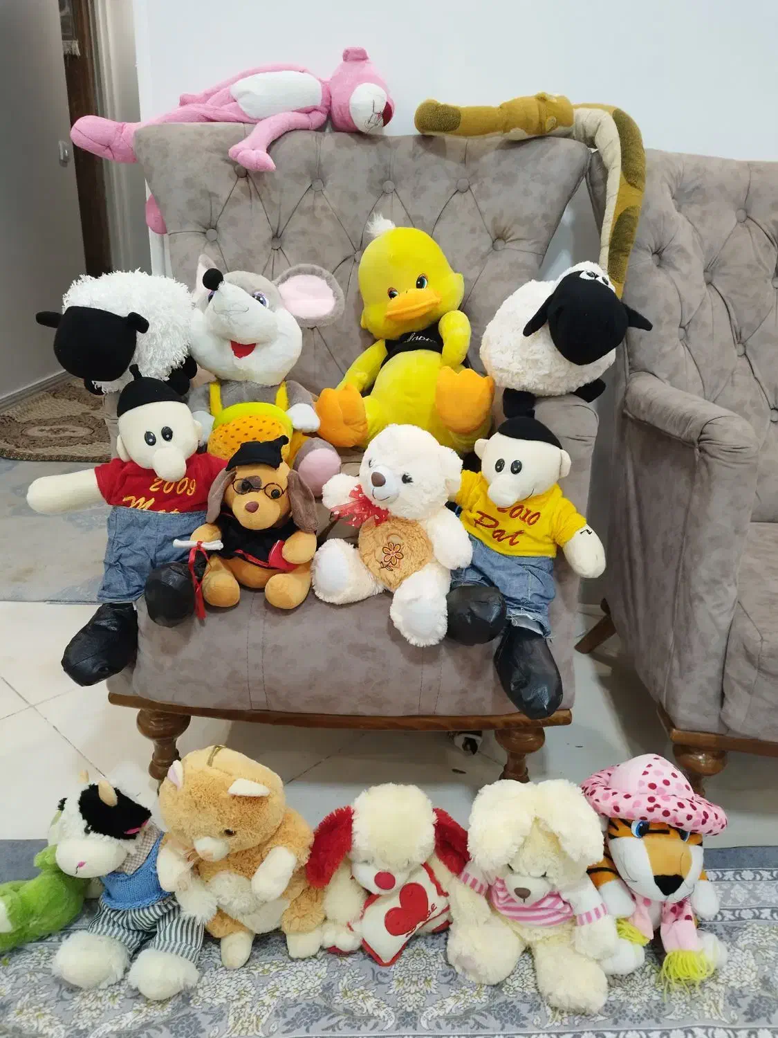 عروسک|اسباب‌بازی بچه|اسلام‌شهر, شهرک واوان|دیوار