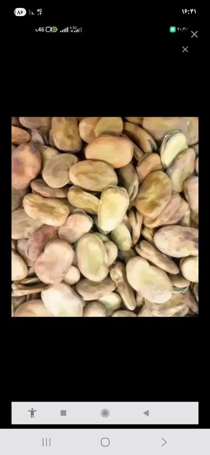 باقلی محلی|خوردنی و آشامیدنی|رشت, یخسازی|دیوار