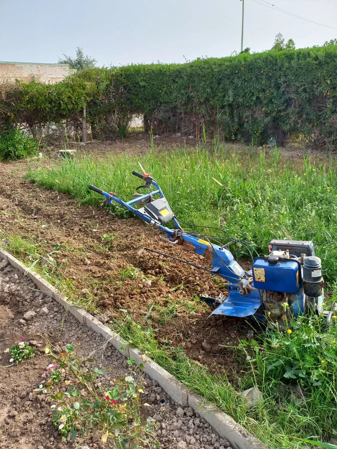 شخم زدن زمین با دستگاه تیلر و امور باغبانی|خدمات باغبانی و درختکاری|آبادان, |دیوار