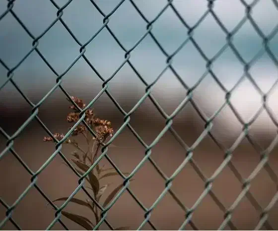 ۱۴۰ متر فنس به ارتفاع ۲ متر مفتول ۲/۵ چشمه ۷|مصالح و تجهیزات ساختمان|تهران, تهرانپارس شرقی|دیوار