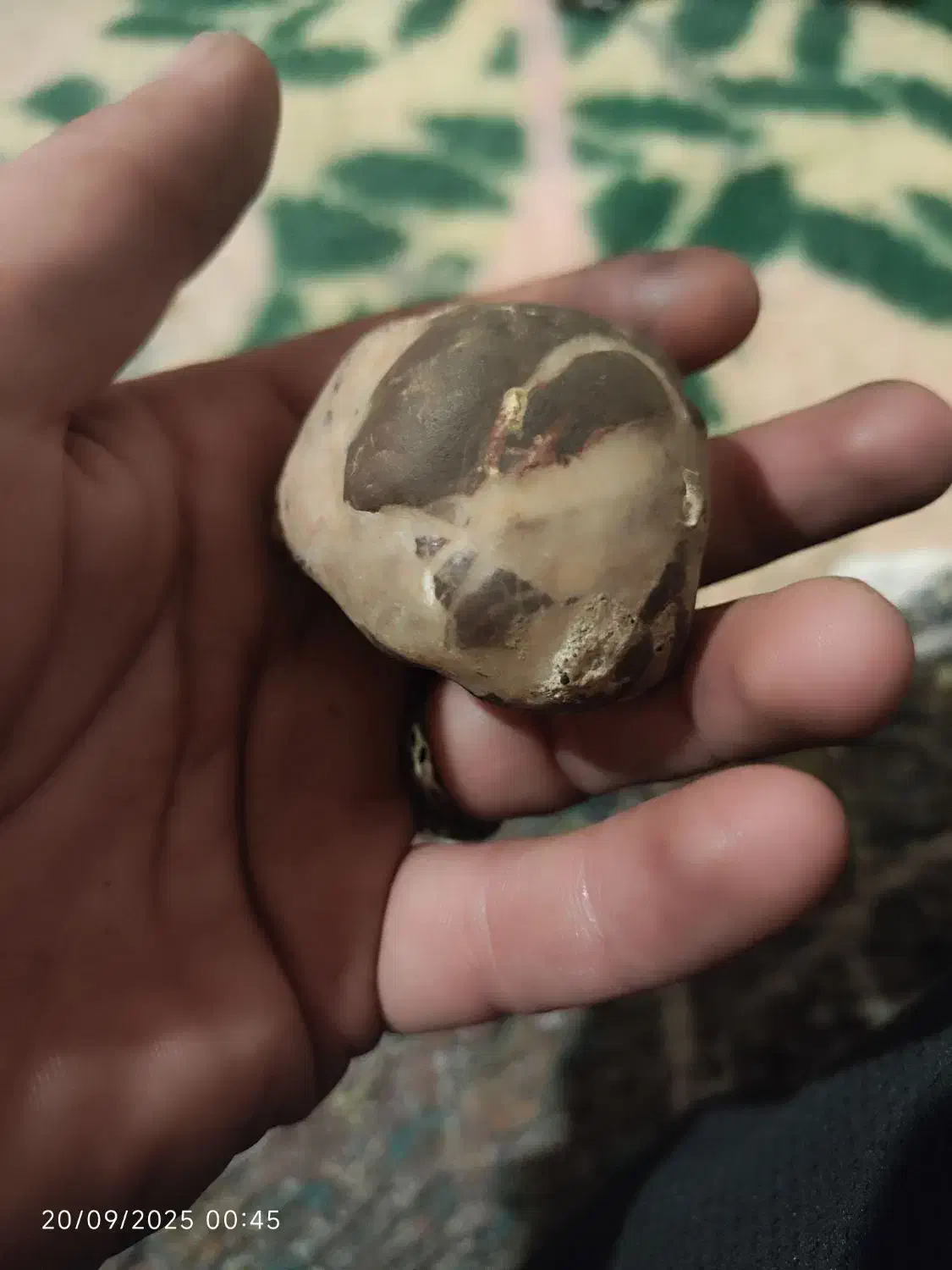 سنگ های کم یاب|کلکسیون اشیاء عتیقه|رفسنجان, |دیوار