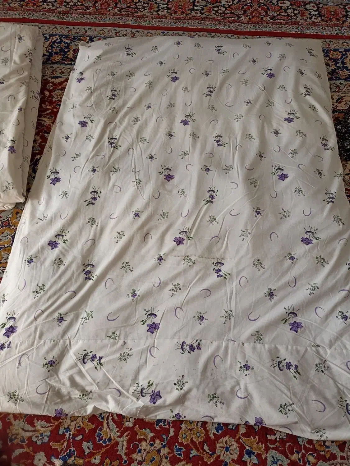 سرویس چینی مقصود|ظروف سرو و پذیرایی|بیرجند, |دیوار