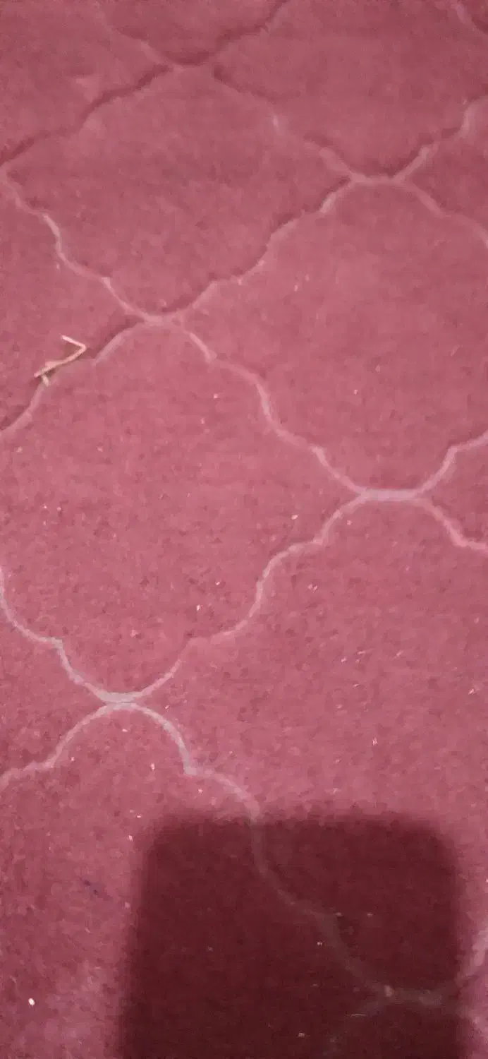 موکت زرشکی ۸۰۰|موکت|اقبالیه, |دیوار