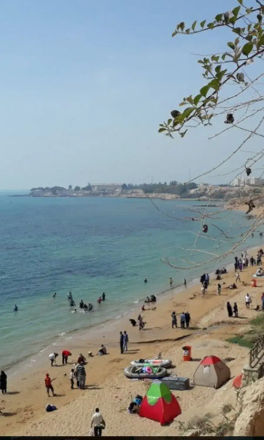 آگهی هم.سفر|فعالیت داوطلبانه|بندر ماهشهر, |دیوار