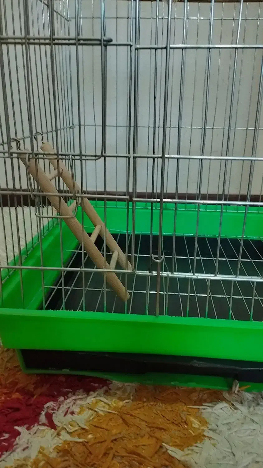 قفس|لوازم جانبی حیوانات|هشتگرد, شهرک بوستان|دیوار