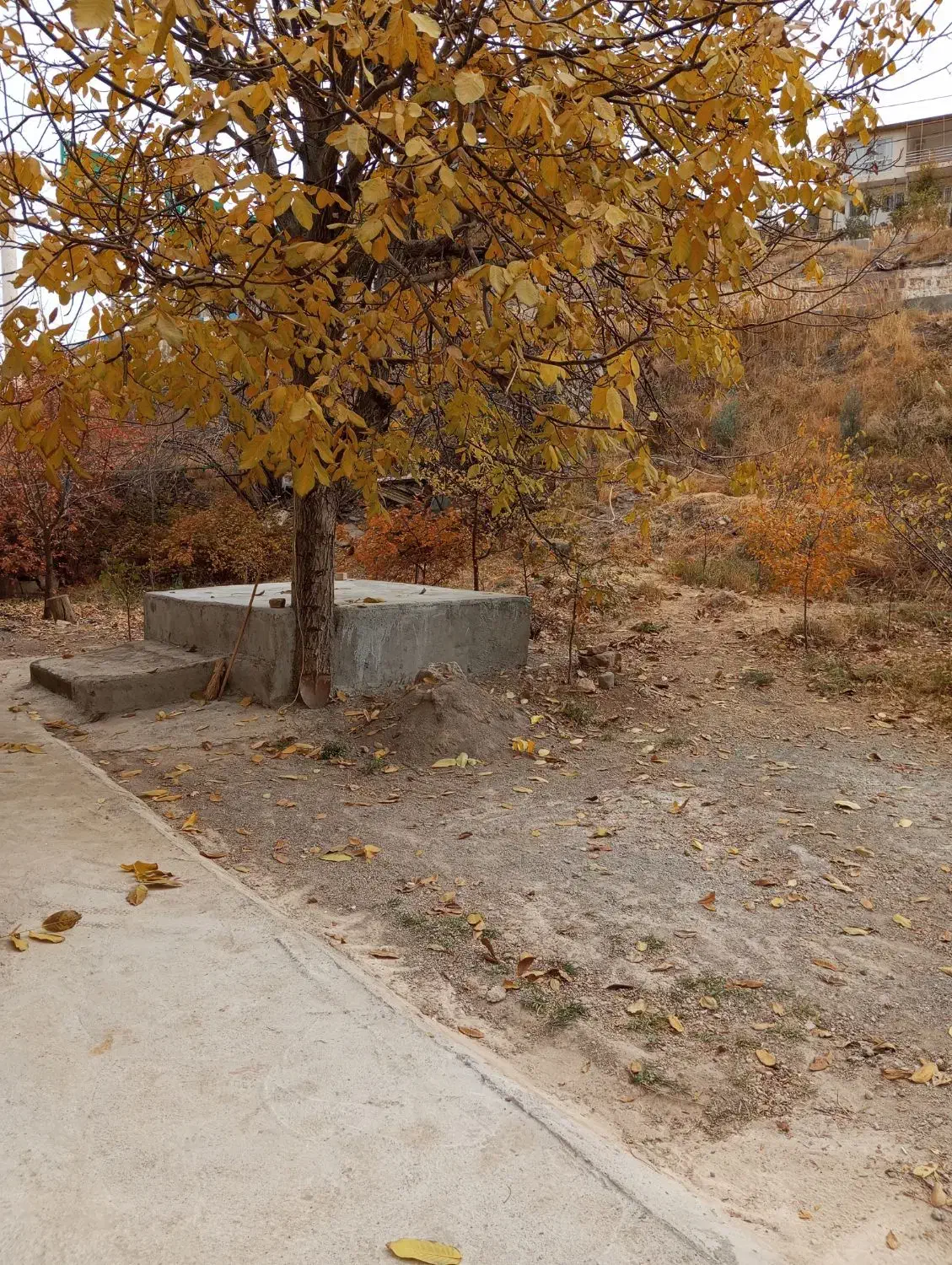 واحد ۵۰متری|فروش آپارتمان|طالقان, |دیوار