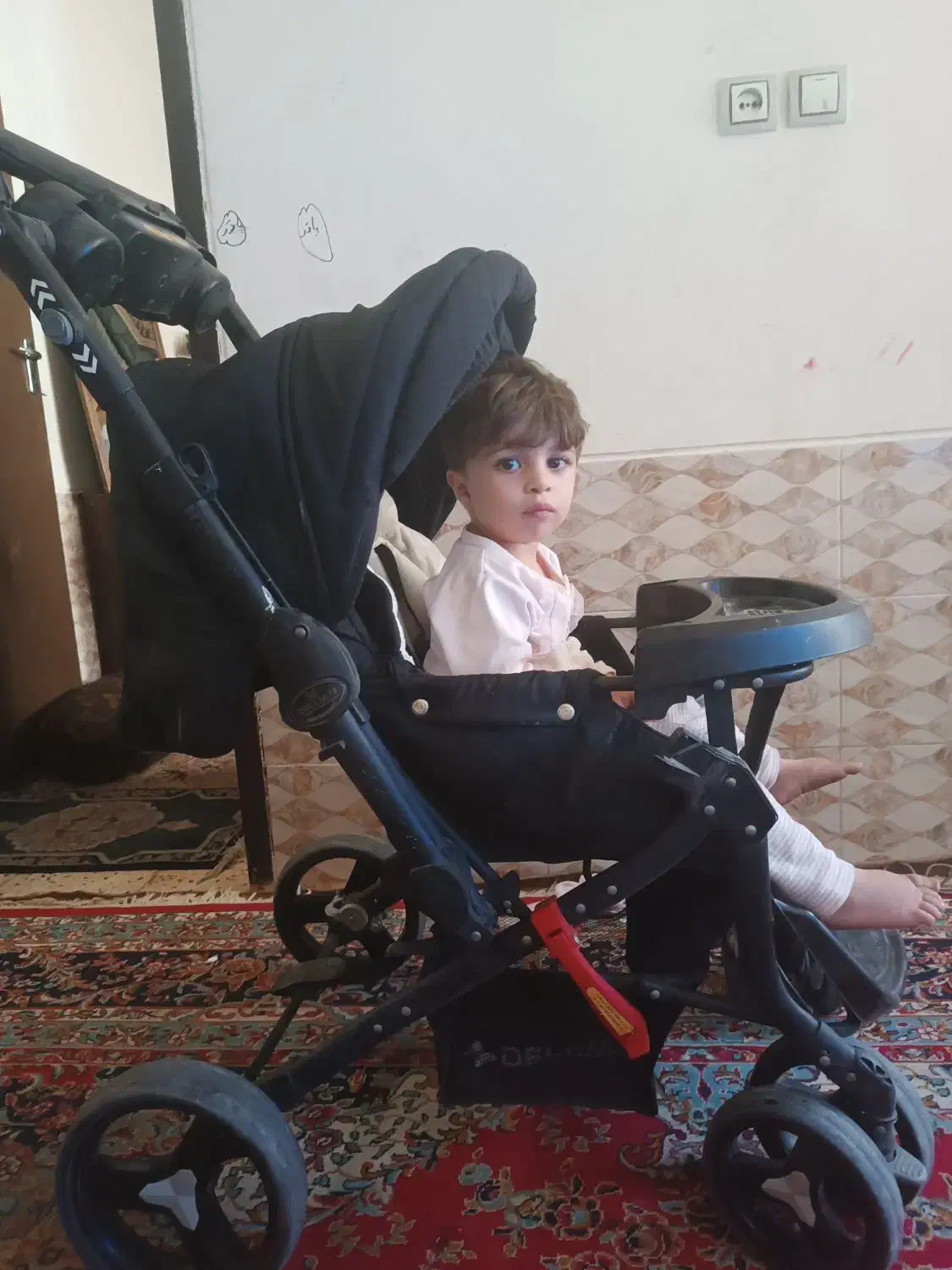 کالسکه دلیجان|کالسکه و لوازم جانبی|شیراز, شهرک مهدیآباد|دیوار