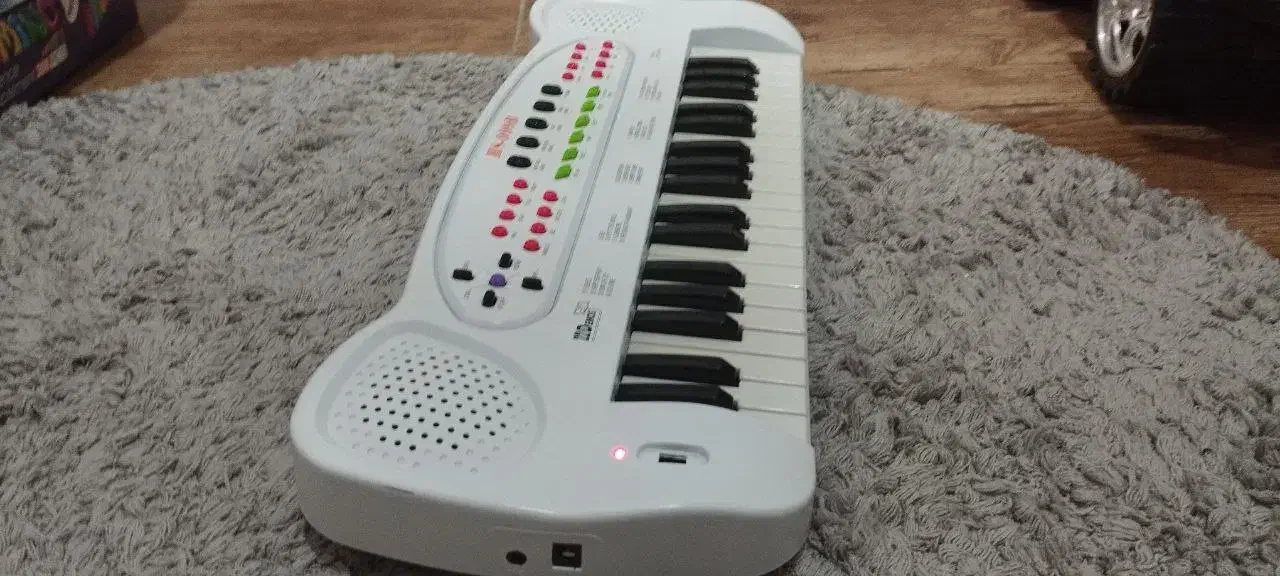 ارگ|اسباب‌‌بازی|رشت, گلسار|دیوار