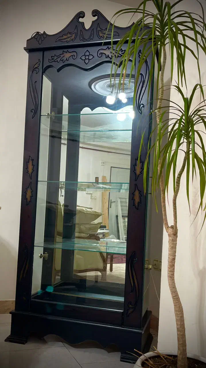 ویترین|بوفه، ویترین، کنسول|رشت, توشیبا|دیوار