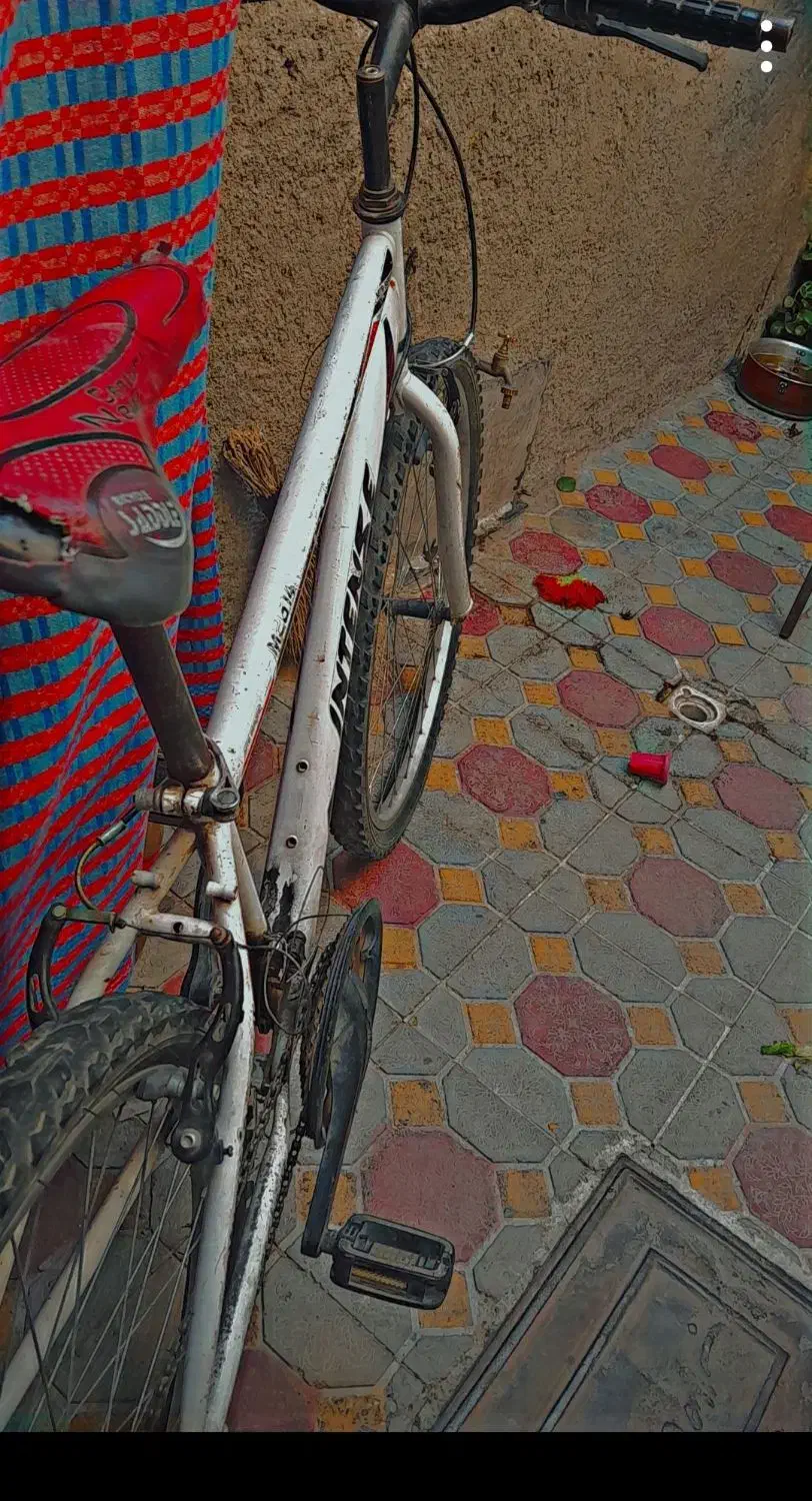 دوچرخه اینتنزه سایز ۲۶|دوچرخه، اسکیت، اسکوتر|مراغه, |دیوار